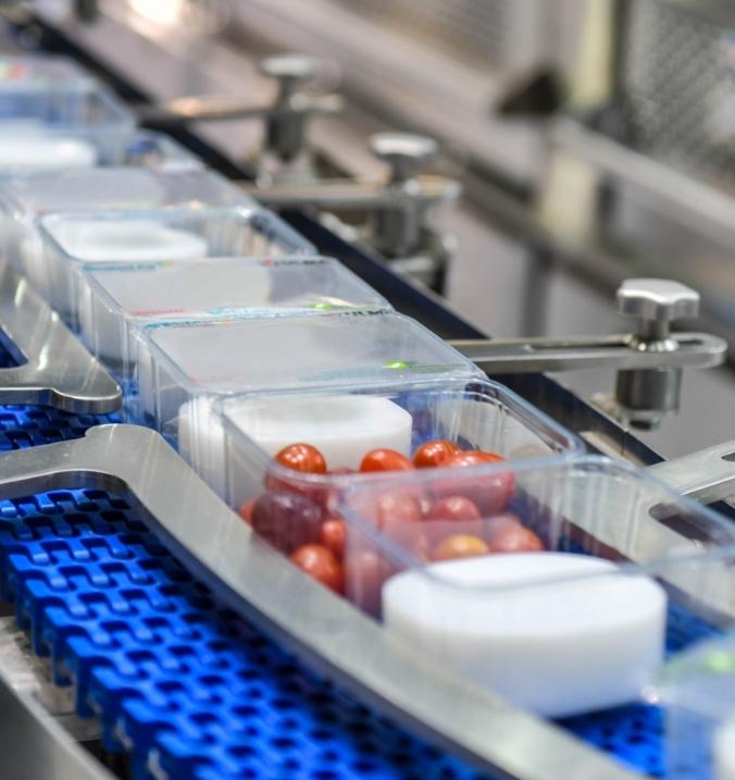 Food production case study