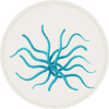 Streptomyces
