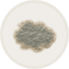 mould on petridish